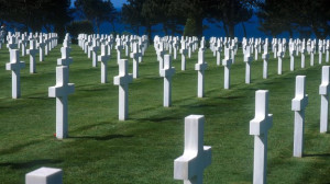 Contemplating the war dead 