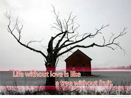 Smoking quotes, smoking quote