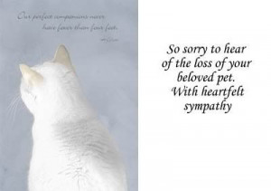 Sorry To Hear Loss Of Your Pet Sympathy Card