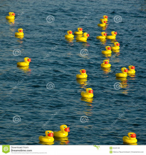 Yellow Rubber Duck Floating