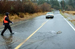 fly fishing quotes | ... Caption Competition - Sponsored by Hartley ...