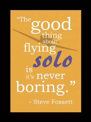 Quotes About Flying Solo