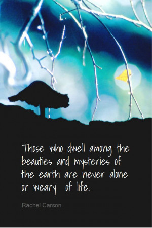 16, 2013 #quote #quoteoftheday Those who dwell among the beauties ...