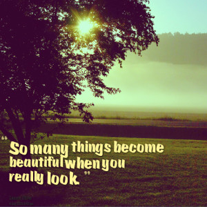 Quotes Picture: so many things become beautiful when you really look