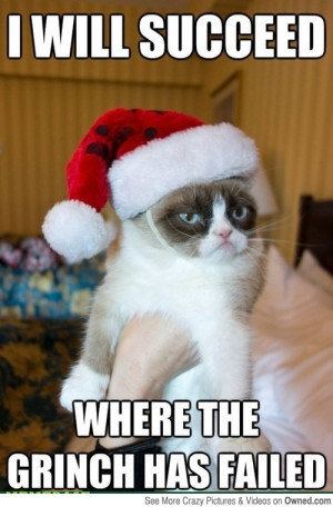 grumpy_cat_vs_the_grinch_540.jpg