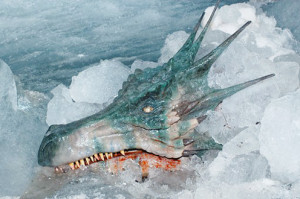 real dragon found frozen in ice ... Fantasy Made Real -