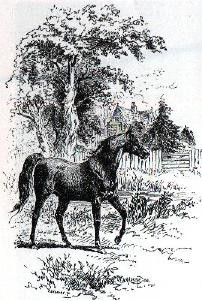 Copyright © 2004 - by studioPLANET.pl