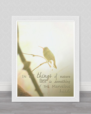 ... wall decor nature - Motivational and Inspirational Quotes, 