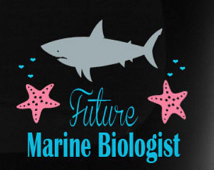 ... Glossy Outdoor Vinyl Sticker / Shark and Starfish Marine Biology