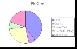 family budget pie chart