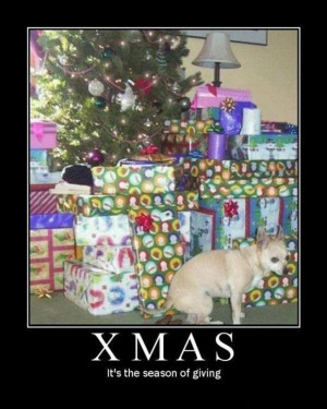 Funny Christmas Pictures, Demotivational Posters (6)