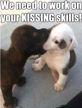 haveurattitude | on your kissing skills