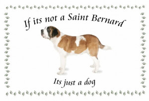 Saint Bernard Image