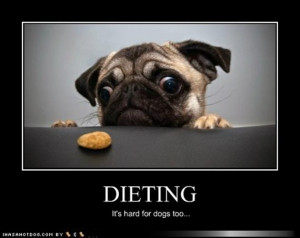 Description: Funny Diet Quotes...