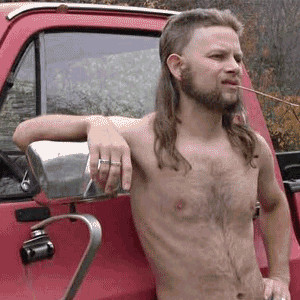 Almost Politically Correct Redneck