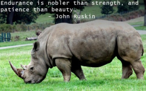 My Favorite Quotes About Strength, Courage And Not Giving Up