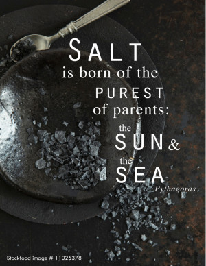 ... Quotes, Sea Salts, Foodquot Salts, Pythagora Quotes, Love Quotes