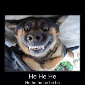 Tinsley Funny #1 Tinsley Funny #2 Tinsley Funny #3 Tinsley Funny #4 ...