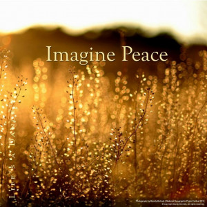 self-love-quotes-buddha-78 | Dai...