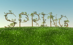 Quickie Tips for Balancing Time This Spring (Giveaway ends 3/31/13)