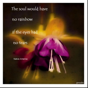 The soul would have no rainbow if the eyes had no tears..