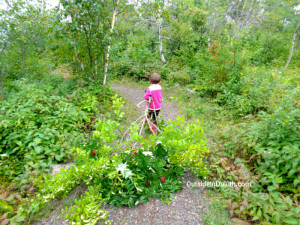 Outside Volunteering at Hawk Ridge