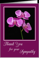 Thank You for your Sympathy with Pink Hand Painted Orchid card ...