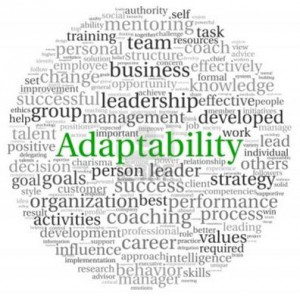 Adaptability – Performance review phrases