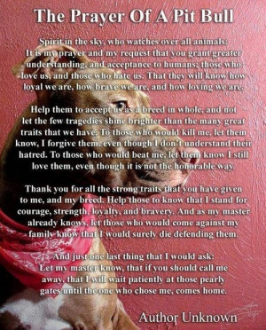 There are no prayers offered to inspire pit bull owners everywhere to ...