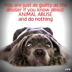... Speak Up and Speak Out against Animal Abuse, We are their Voice