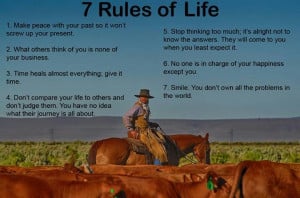 Cowboy logic