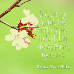 Spring Quotes