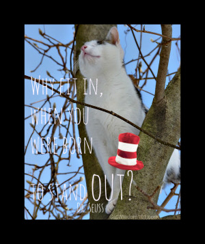 Cat In The Hat Book Quotes Cat quote dr. seuss cat in the