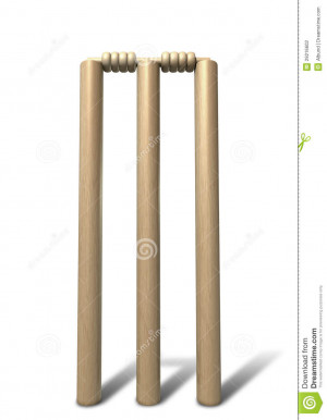 Set Regular Wooden Cricket...