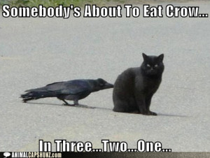 Sayings About Eating Crow