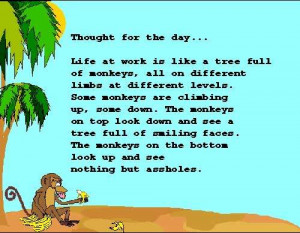 funny sayings monkeys