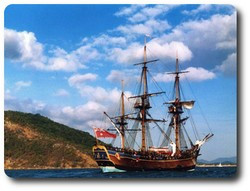 The Voyage of HMB Endeavour 1768-1771