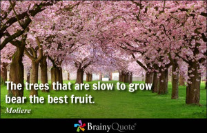 The trees that are slow to grow bear the best fruit. - Moliere