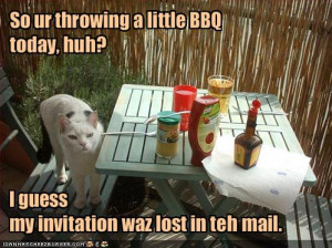 funny-pictures-cat-is-angry-you-are-having-a-bbq