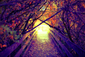 El amanecer del año 22...