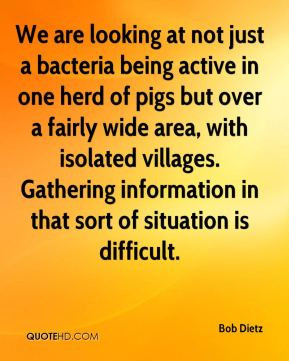 We are looking at not just a bacteria being active in one herd of pigs ...