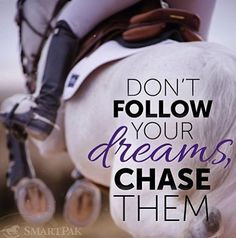 Great Horse Quotes