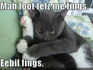 funny-pictures-cat-is-being-told-evil-things-by-his-foot - funny ...
