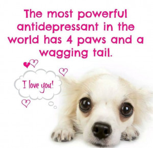 Most powerful antidepressant