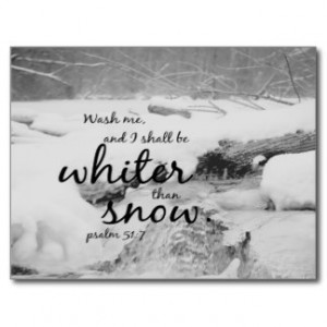 Wash Me Snow Psalm 51 Postcard
