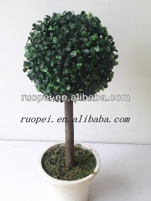 bonsai trees 219 Quotation s matched for you