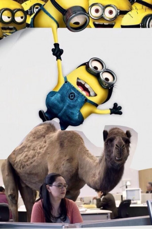 Minion Hump Day Quotes. QuotesGram