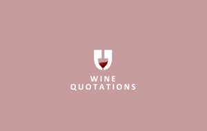 short wine quotes source http pic2fly com short wine quotes html