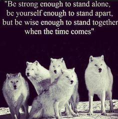to stand alone... #inspiration #motivation #wisdom #quote #quotes ...