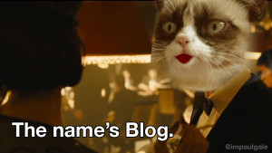 grumpy cat the names blog cat blog gif james bond funny